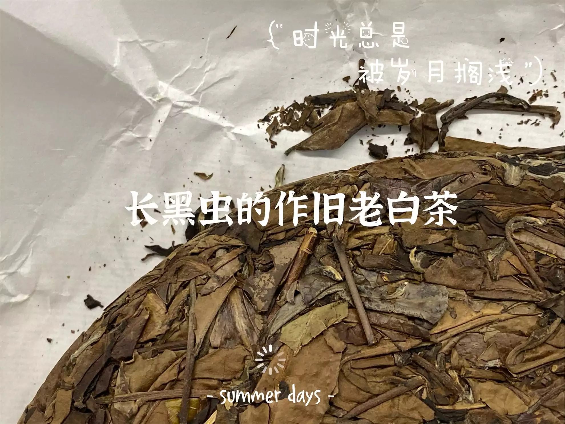 买白茶饼，怎么区分正常白茶的茶梗和做旧白茶的茶梗？实拍图来了她长得太漂亮，导演追求7次都被拒之门外，网友：中国式好女人-第9张图片-福建名茶