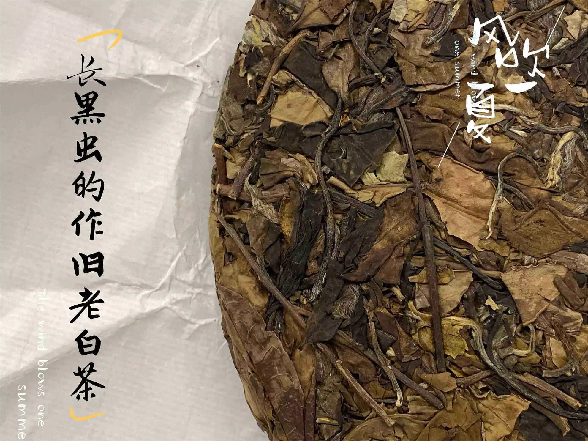 买白茶饼，怎么区分正常白茶的茶梗和做旧白茶的茶梗？实拍图来了她长得太漂亮，导演追求7次都被拒之门外，网友：中国式好女人-第7张图片-福建名茶