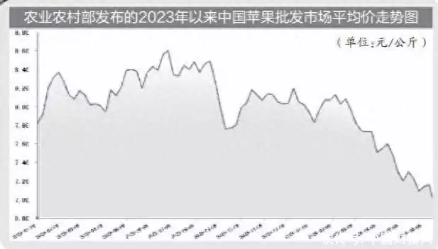 多因素致冷库苹果价格异动 去库速度成后市