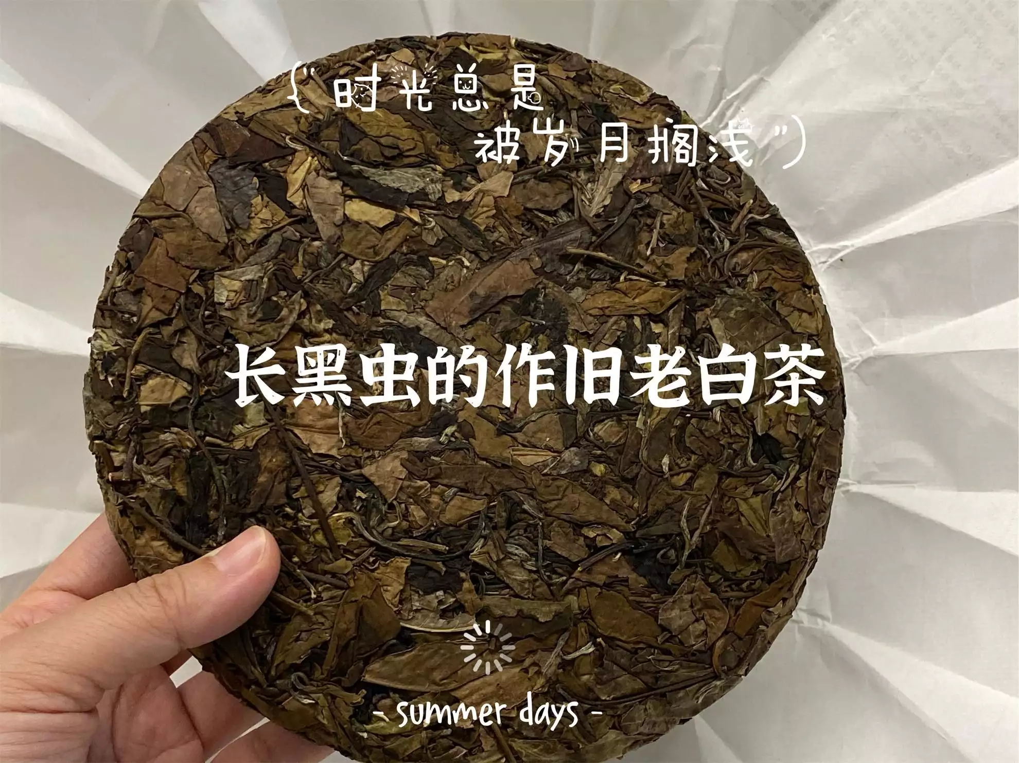 买白茶饼，怎么区分正常白茶的茶梗和做旧白茶的茶梗？实拍图来了她长得太漂亮，导演追求7次都被拒之门外，网友：中国式好女人-第8张图片-福建名茶