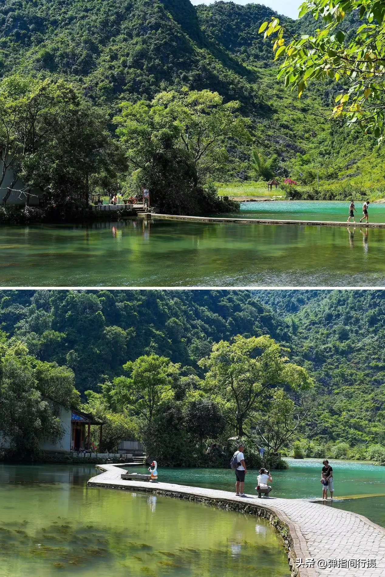 广西最深藏不露的旅游城市，山水风光不输桂林，却被很多游客忽视世界上竟有蜈蚣会吃鸟？30多厘米蜈蚣年吃3700只鸟，为何这么大？