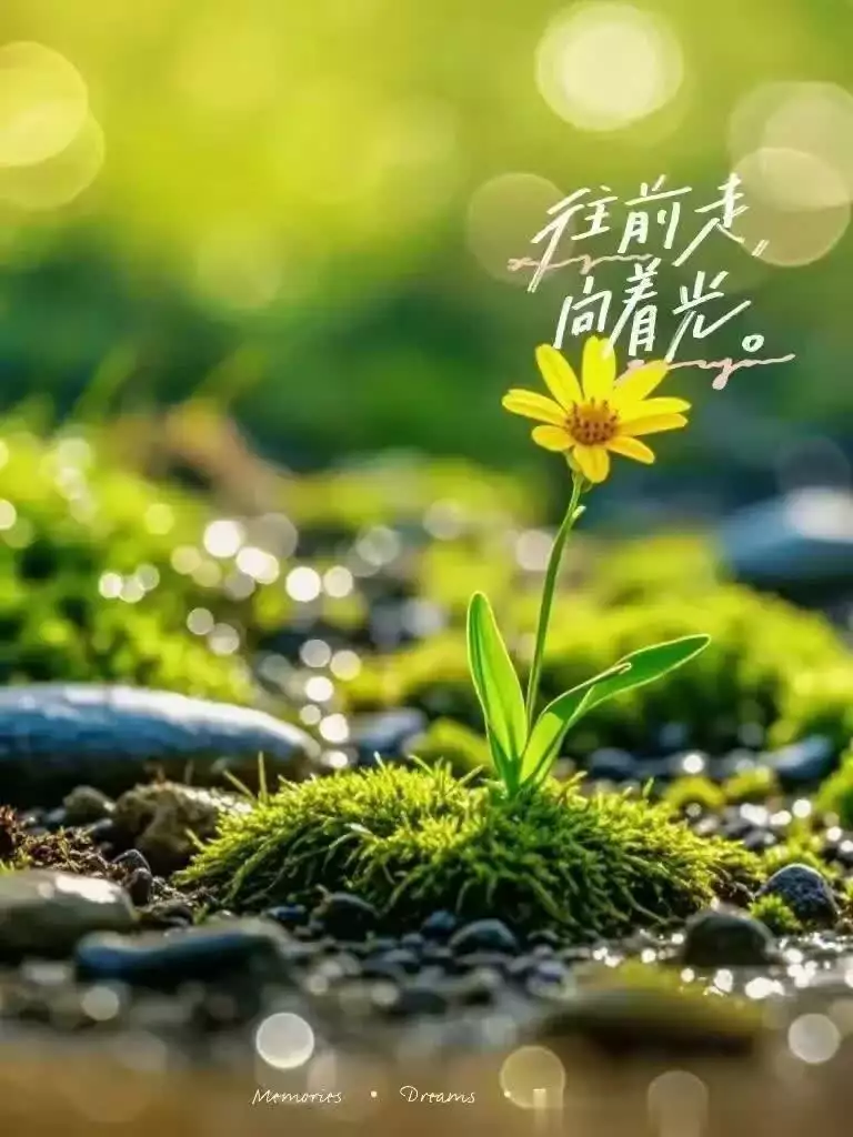 这些句子,能让我受用一辈子,总是在迷茫时给我鼓励钱与人生(扎心) 这些句子,能让我受用一辈子,总是在迷茫时给我鼓励钱与人生(扎心)