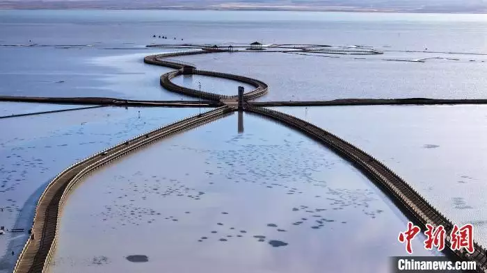 青海茶卡盐湖旁的“富饶村”：静候春来展新颜张庭恢复直播带货，7小时销售额267万元-第1张图片-海南百花岭热带雨林文化旅游区