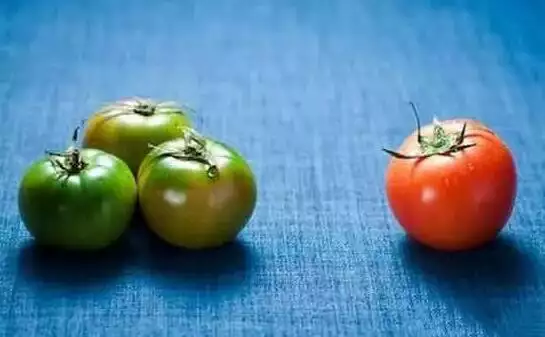 为什么西红柿没有以前好吃了?科学家给我们讲出了实情“苏联大清洗”的来龙去脉,斯大林处决60万人,是对是错? 为什么西红柿没有以前好吃了?科学家给我们讲出了实情“苏联大清洗”的来龙去脉,斯大林处决60万人,是对是错?
