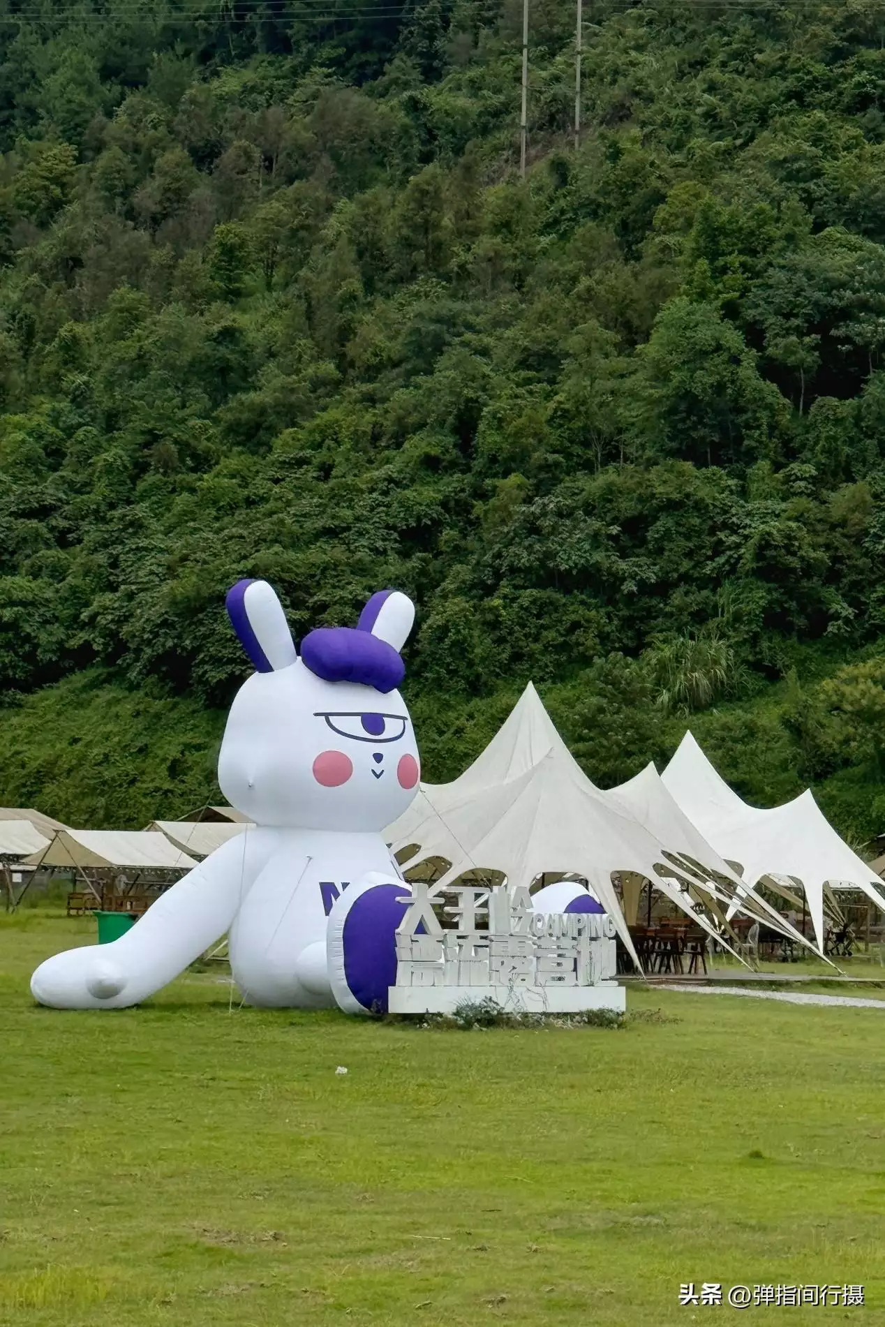 广西最深藏不露的旅游城市，山水风光不输桂林，却被很多游客忽视世界上竟有蜈蚣会吃鸟？30多厘米蜈蚣年吃3700只鸟，为何这么大？