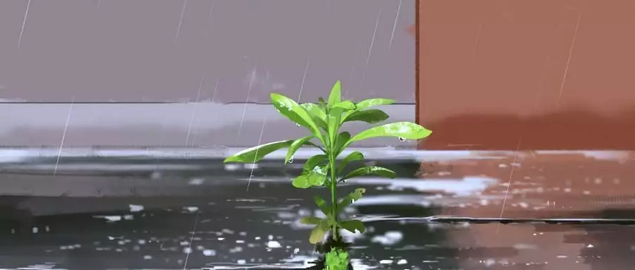 顶级智慧揭秘:成年人如何高效赚钱?玩《潜行者2:切尔诺贝利之心》,为何推荐三星G80SD QD-OLED显示器? 顶级智慧揭秘:成年人如何高效赚钱?玩《潜行者2:切尔诺贝利之心》,为何推荐三星G80SD QD-OLED显示器?