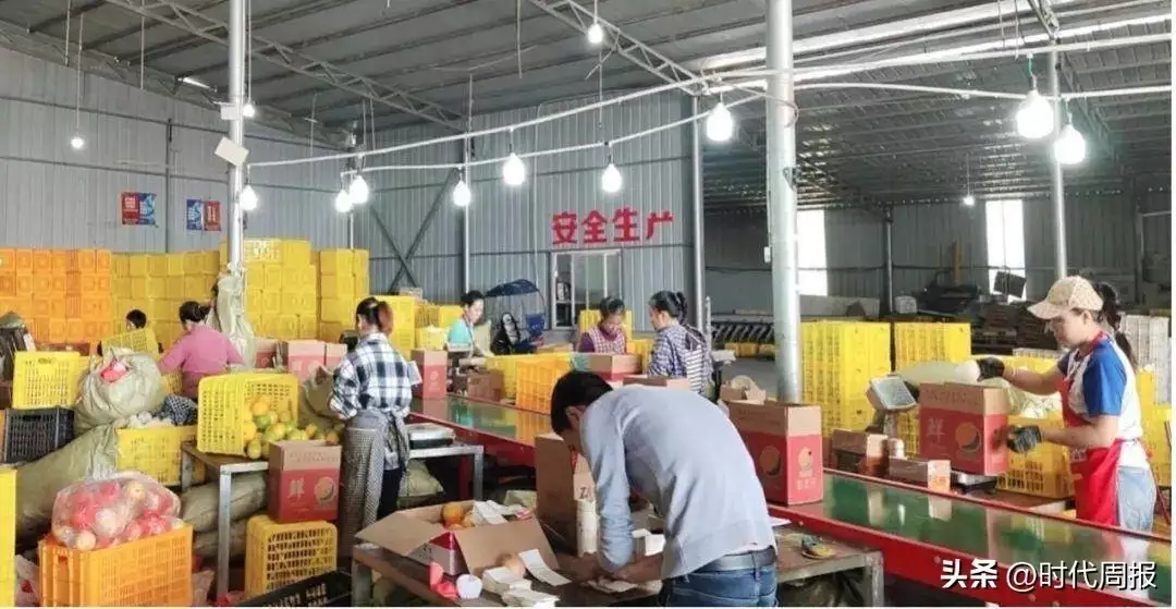 电商西进背后:拼多多与那些被忽略的爱与自由诸葛亮挥泪斩马谡,但真实的历史依据却是马谡在狱病死 电商西进背后:拼多多与那些被忽略的爱与自由诸葛亮挥泪斩马谡,但真实的历史依据却是马谡在狱病死