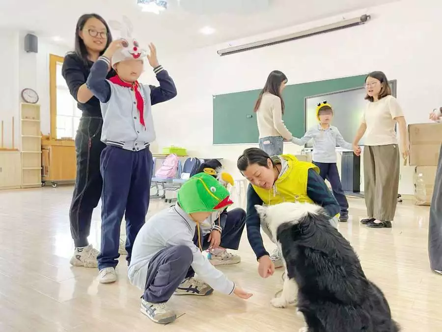 当一群志愿者,把心爱的宠物狗训练成“治疗犬”原创崇祯宁愿国破也不答应李自成的投降条件,这是为啥?真的是祖训?-是宠网