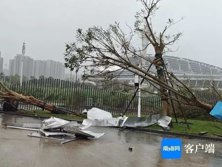 受强台风“摩羯”影响 海口五源河体育场顶棚损毁严重被央视点赞好评的5部剧，你要是全都没看，那就太遗憾了！