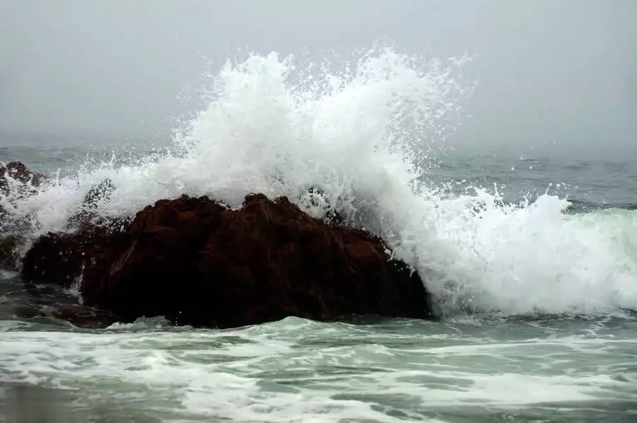 苏轼的词全集赏析_诗词精神享受_李白酒与苏轼词的魅力