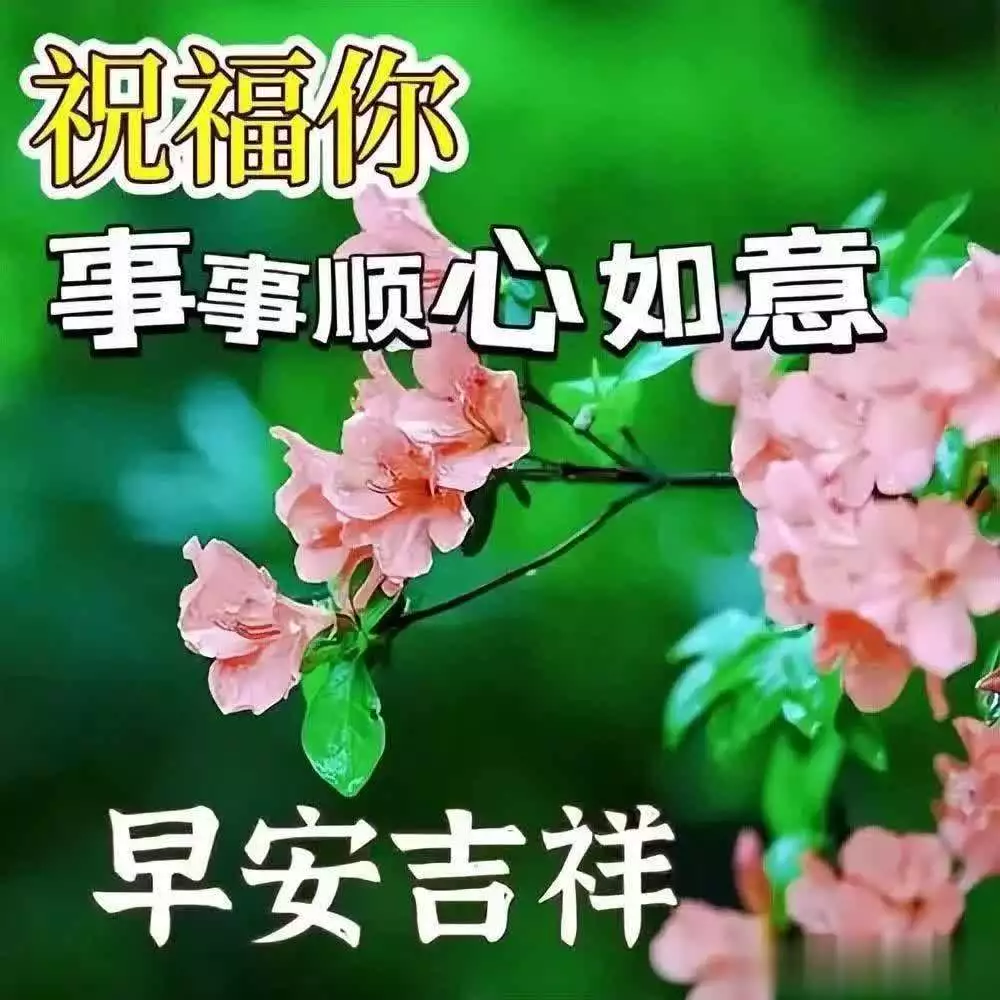 今日精选早安问候语,传递温馨祝福,愿您平安如意每一天曾舜晞的6位古装女主,李沁、田曦薇、陈钰琪、杨超越谁更有cp感 今日精选早安问候语,传递温馨祝福,愿您平安如意每一天曾舜晞的6位古装女主,李沁、田曦薇、陈钰琪、杨超越谁更有cp感