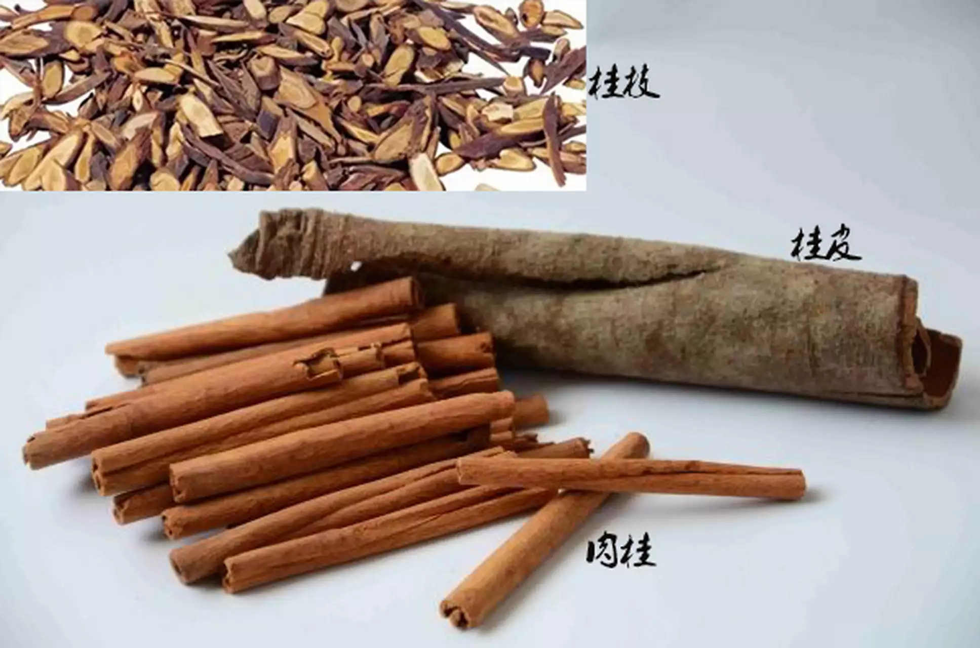 肉桂和桂皮一字之差，用途却完全不同，大厨：不懂别乱用！