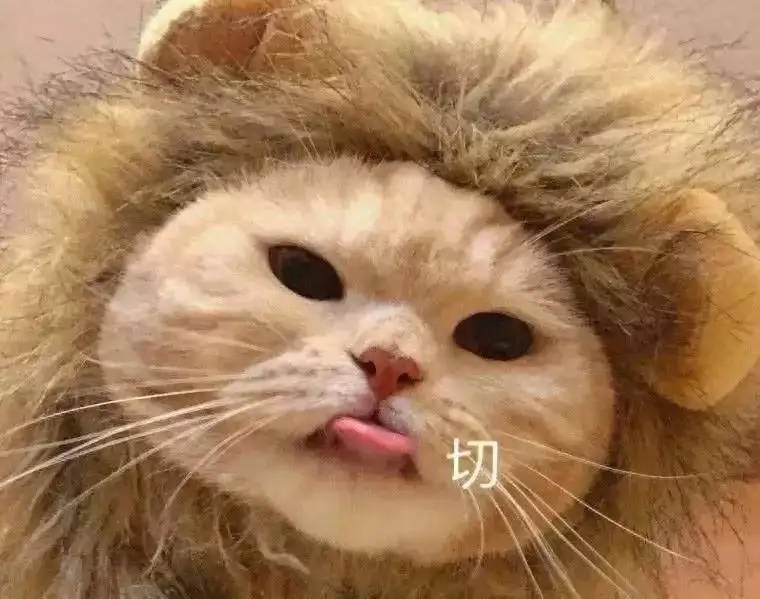 揭秘!养猫后才知道的10件事,猫奴们有共鸣吗?知县因亏空被抓,刑部说秋后问斩,雍正:知县当再赏三千两银子-是宠网