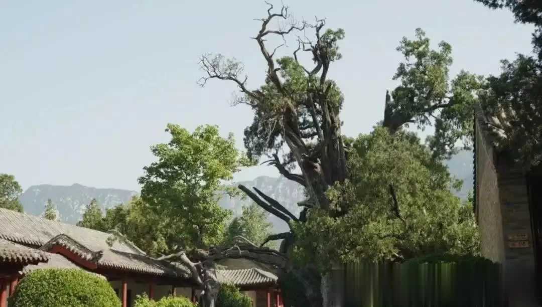 中国最低价的5A景区，不输黄山，住宿却只要100最适合老年人此人曾经是彻头彻尾的民族败类，现在却有人在试图地美化他！(图20)