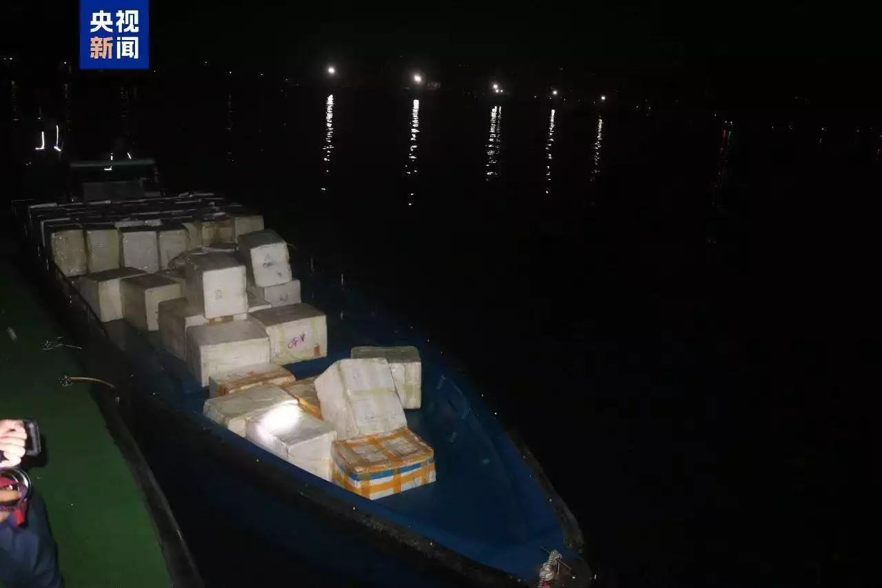 共計4.13噸！廣西北海海警查獲一起涉嫌走私水果案播報文章