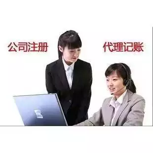 上海金山区山阳镇代理记账费用_上海金山区山阳镇小型企业代理记账服务价格_代理记账多少钱一个月
