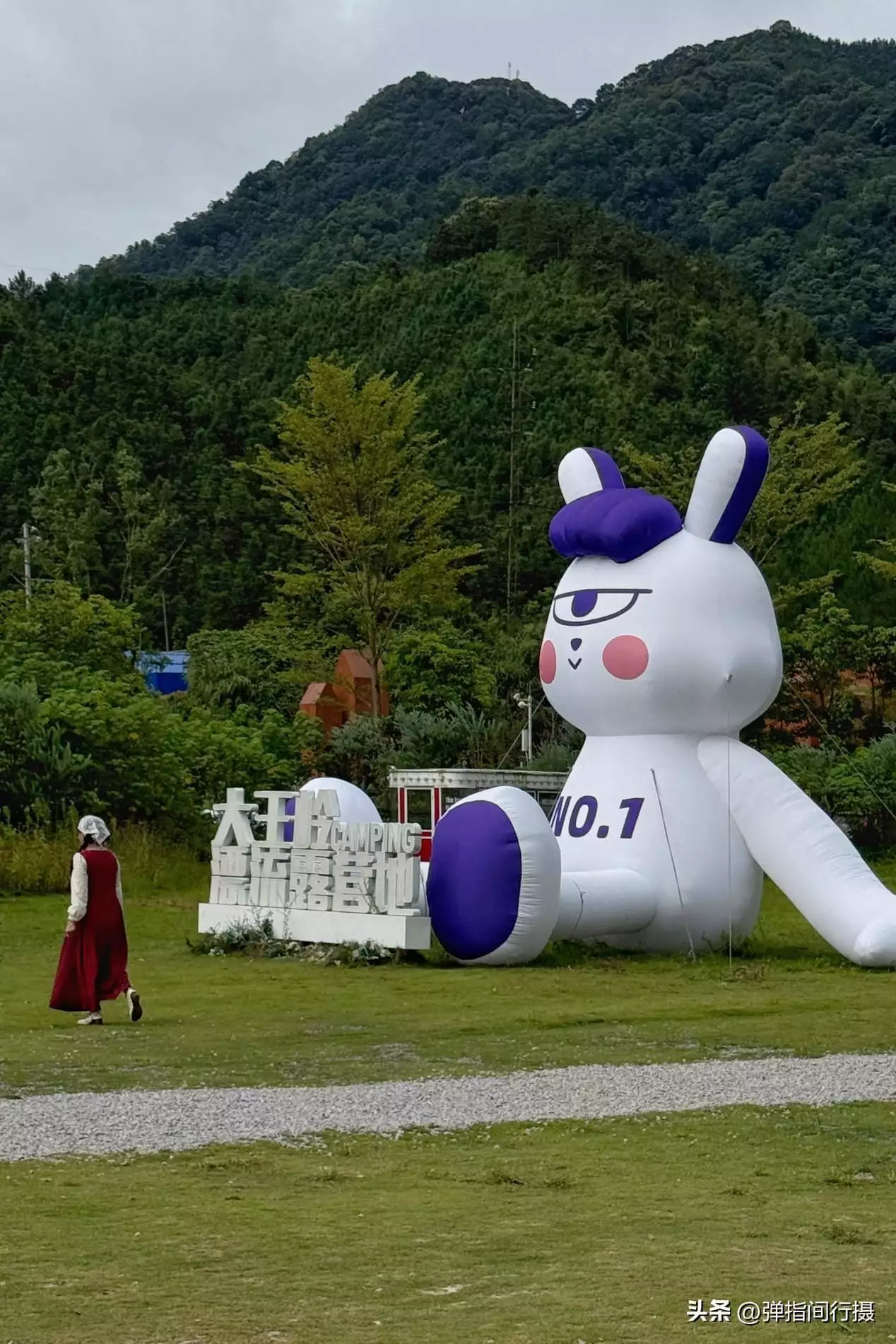 广西最深藏不露的旅游城市，山水风光不输桂林，却被很多游客忽视世界上竟有蜈蚣会吃鸟？30多厘米蜈蚣年吃3700只鸟，为何这么大？