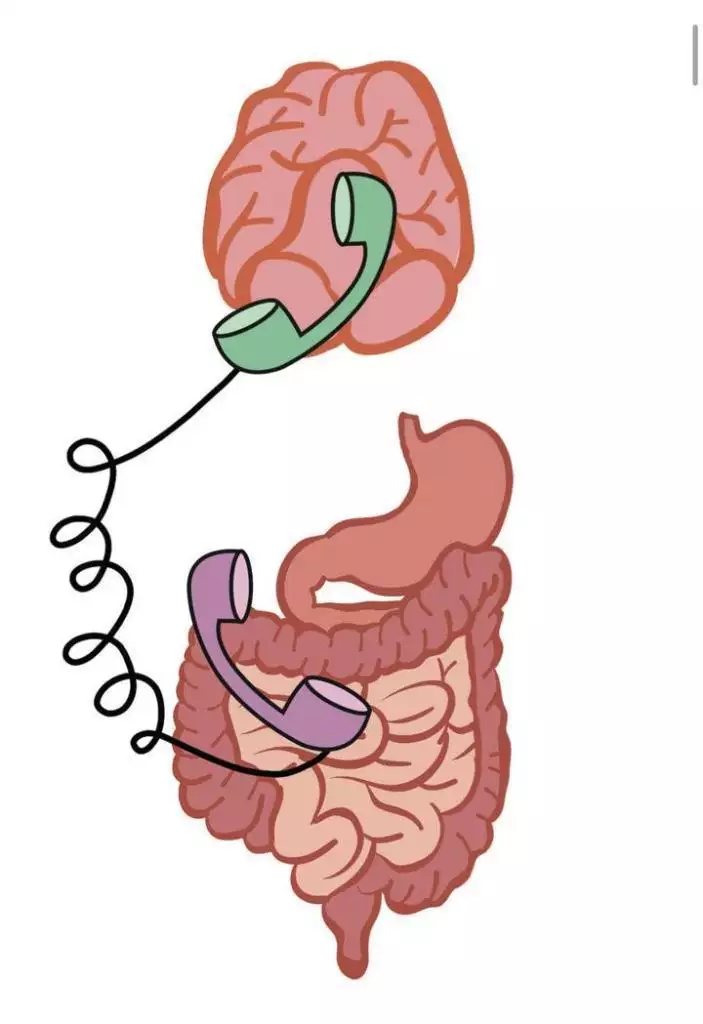 世界肠道健康日：“第二大脑”健康你了解多少活得太清醒的人，往往不太容易快乐-第2张图片-福州肛肠医院