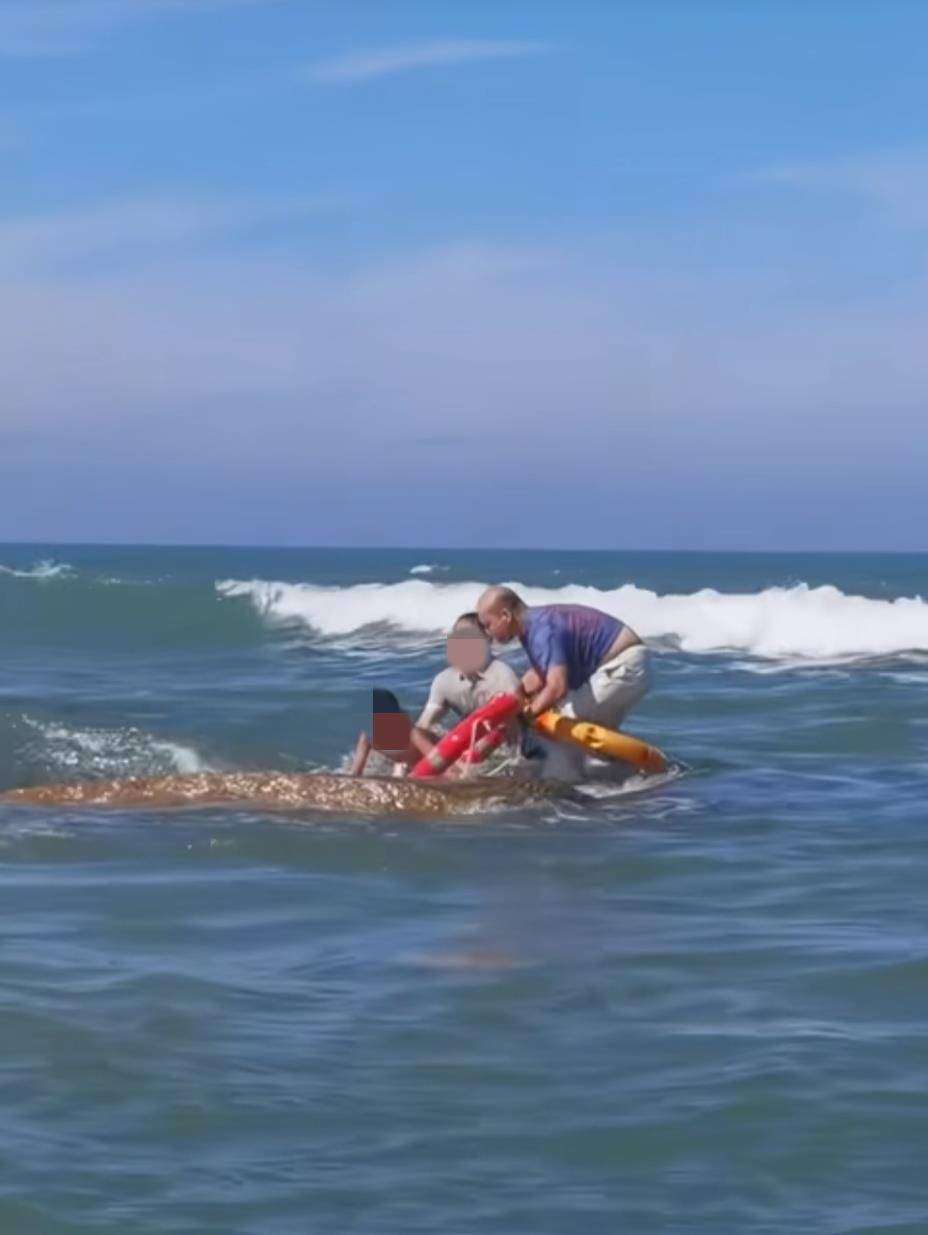 退役军人在福建海边救起被浪卷走的父子？见义勇为协会：将调查