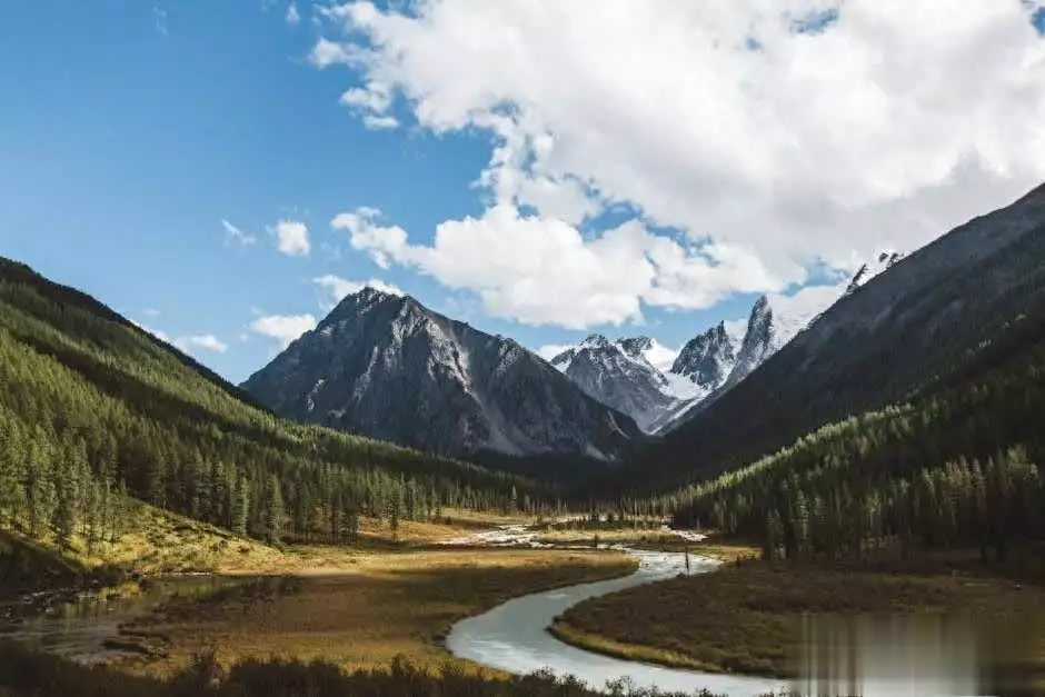 揭秘！阿勒泰的美食美景，你绝对不能错过的旅行天堂终于谈妥，北约峰会闭幕，王毅作出承诺，38国施压也难挡中俄合作