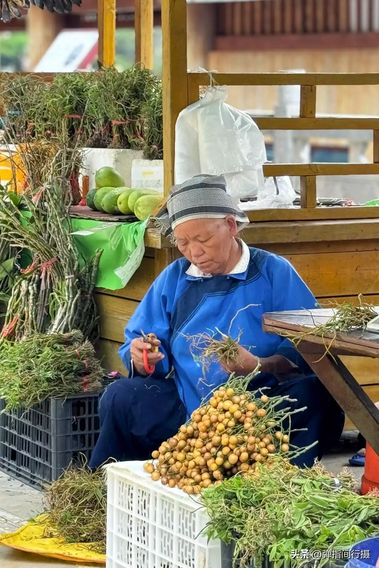 广西最深藏不露的旅游城市，山水风光不输桂林，却被很多游客忽视世界上竟有蜈蚣会吃鸟？30多厘米蜈蚣年吃3700只鸟，为何这么大？