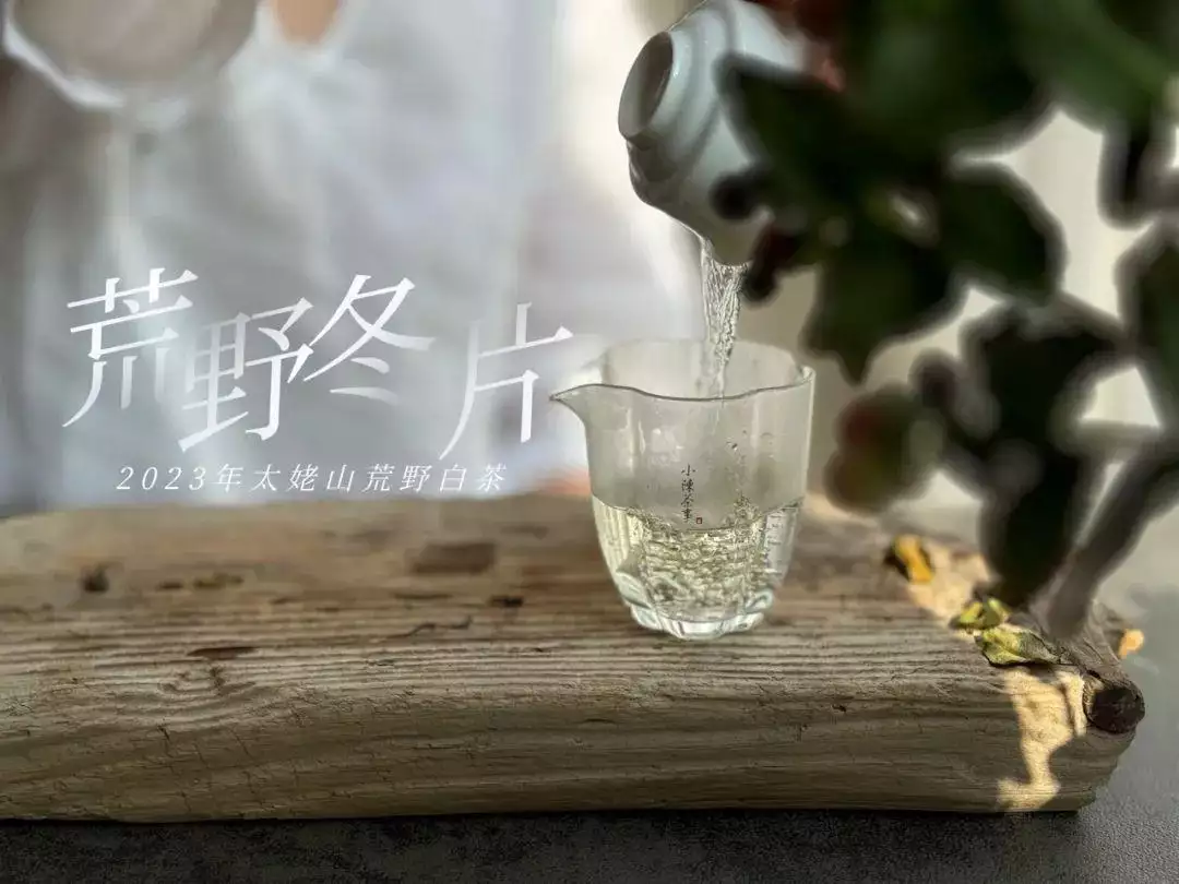 茶圈中一个老生常谈的疑问，还是不得不谈，茶叶为什么会有泡沫？  第7张