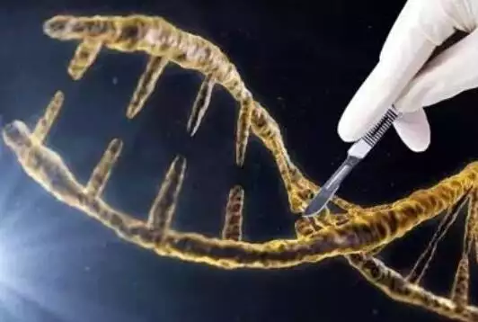 为什么西红柿没有以前好吃了?科学家给我们讲出了实情“苏联大清洗”的来龙去脉,斯大林处决60万人,是对是错? 为什么西红柿没有以前好吃了?科学家给我们讲出了实情“苏联大清洗”的来龙去脉,斯大林处决60万人,是对是错?