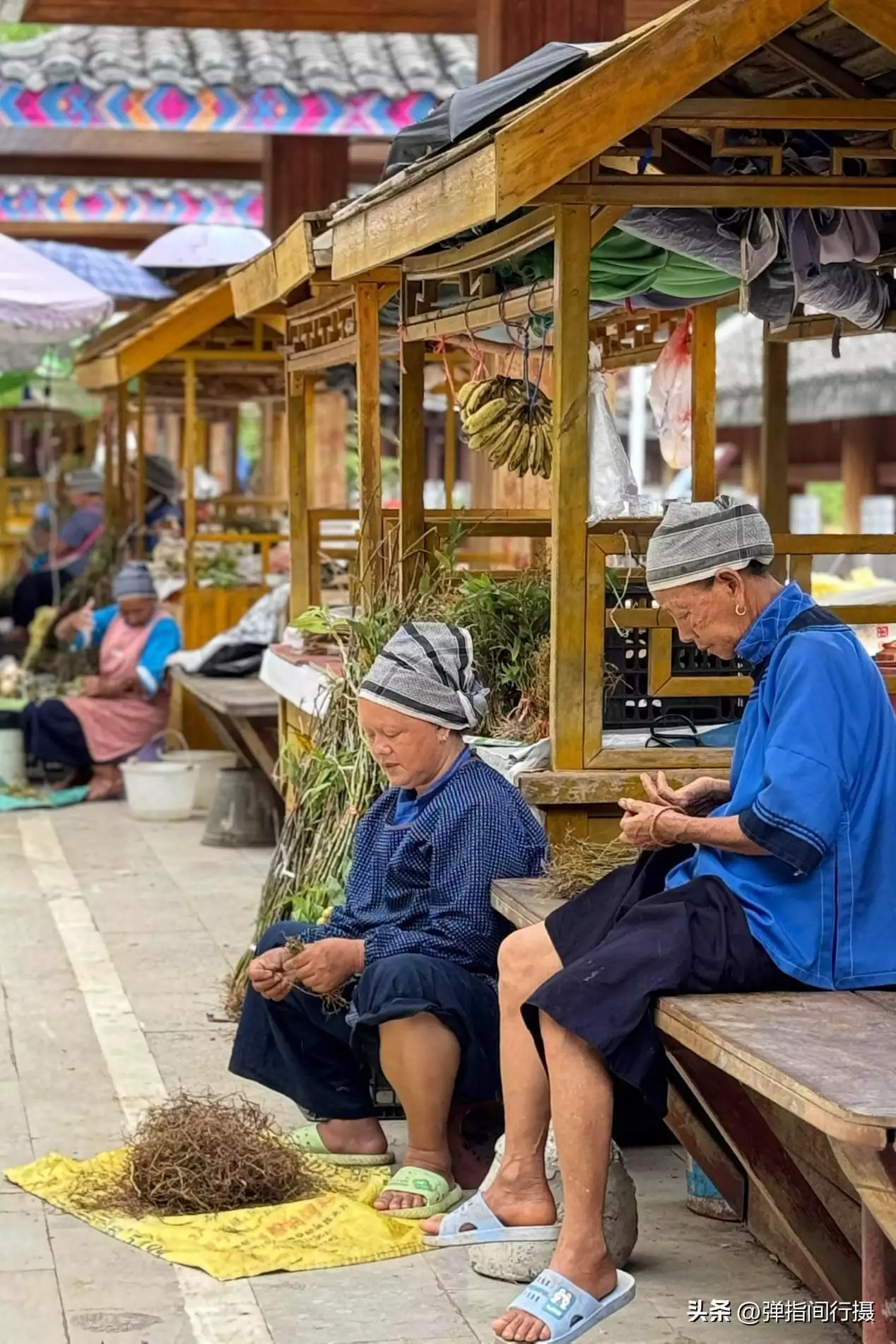 广西最深藏不露的旅游城市，山水风光不输桂林，却被很多游客忽视世界上竟有蜈蚣会吃鸟？30多厘米蜈蚣年吃3700只鸟，为何这么大？