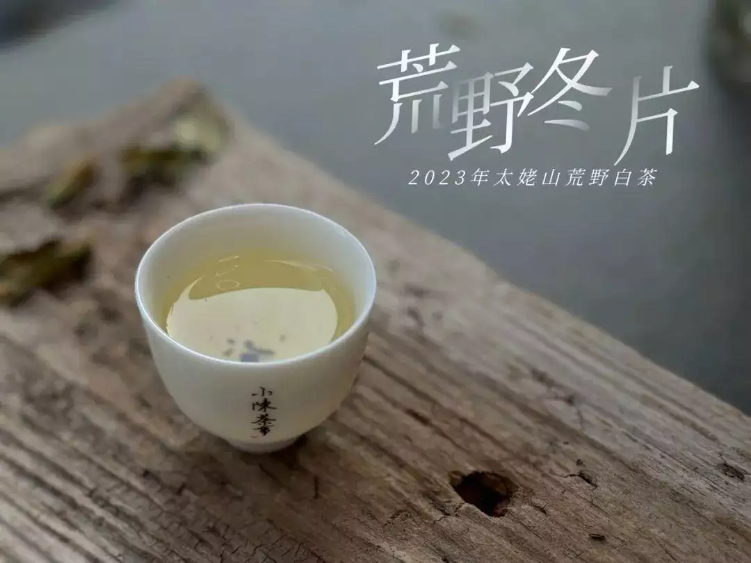 茶圈中一个老生常谈的疑问，还是不得不谈，茶叶为什么会有泡沫？  第6张