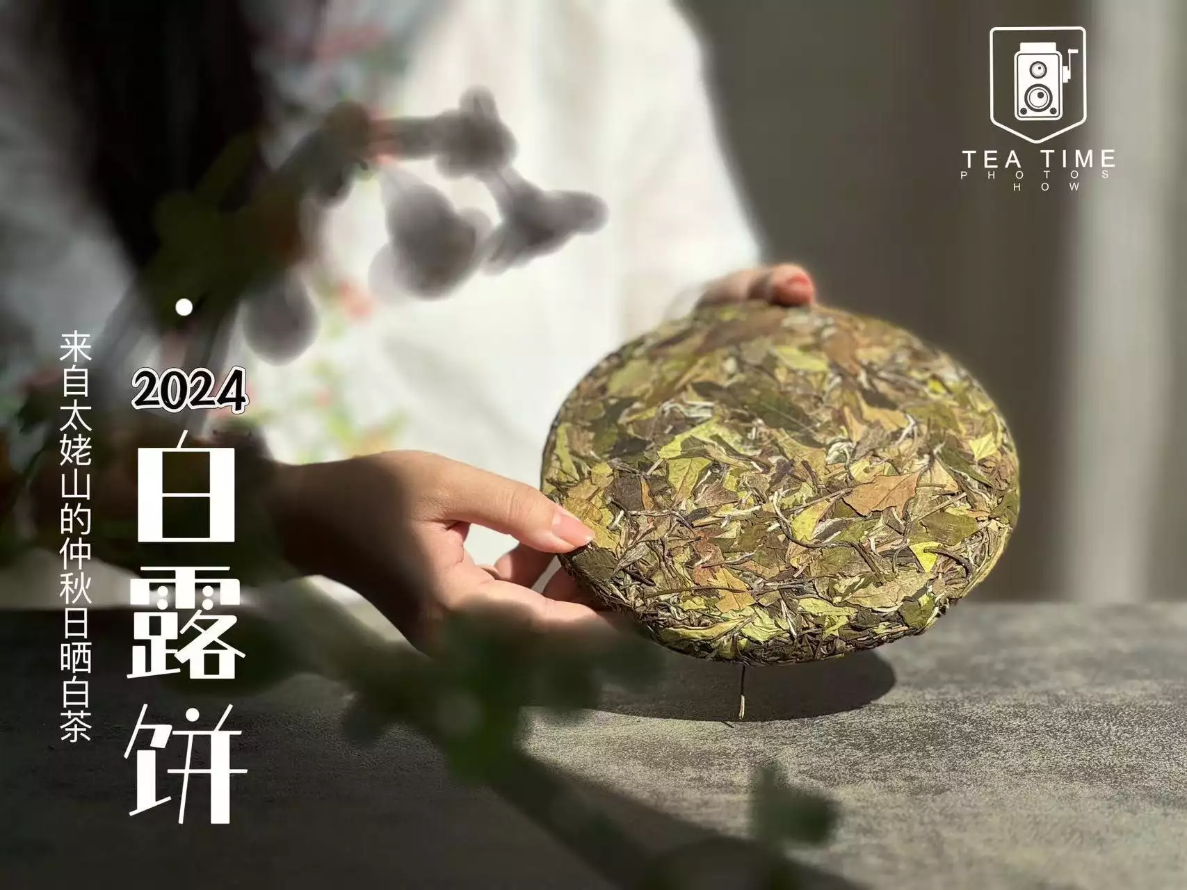 茶叶店里的白茶饼，为什么都用塑料膜包着？这样存茶更好吗？  第6张