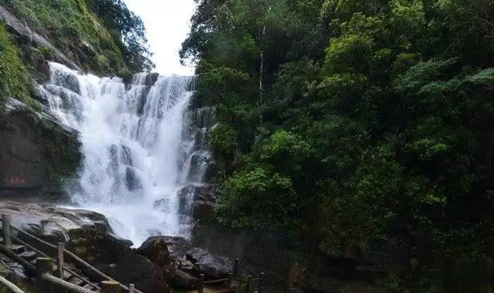 南平旅游攻略景点大全，南平旅游必去十大景点有哪些？看这里！3岁儿子被拐，母亲疯了爷爷喝药去世，22年后儿子从国外回来相认-第10张图片-海南百花岭热带雨林文化旅游区