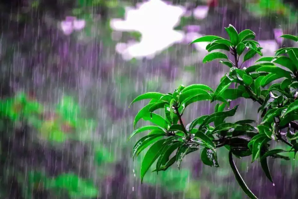下雨天的心情_下雨天情绪与职场内卷关联_雨天情绪如何转化为职场动力