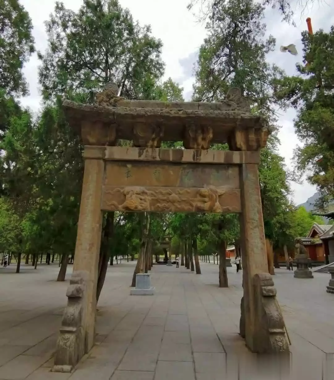 中国最低价的5A景区，不输黄山，住宿却只要100最适合老年人此人曾经是彻头彻尾的民族败类，现在却有人在试图地美化他！(图7)