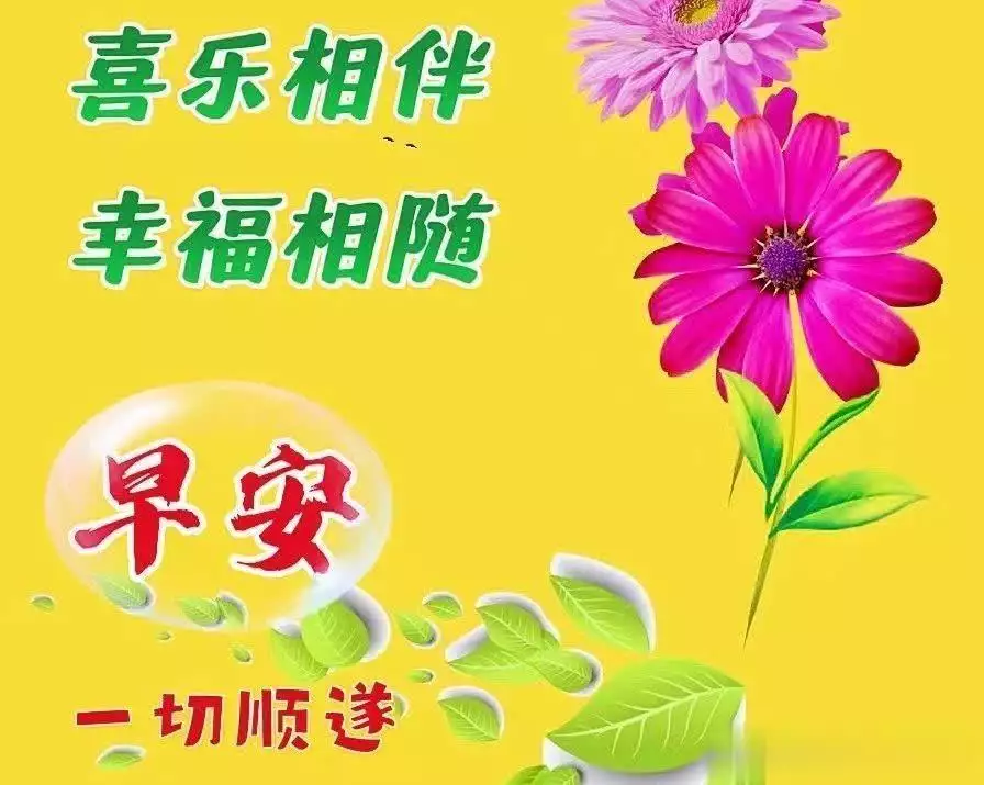 今日精选早安问候语,传递温馨祝福,愿您平安如意每一天曾舜晞的6位古装女主,李沁、田曦薇、陈钰琪、杨超越谁更有cp感 今日精选早安问候语,传递温馨祝福,愿您平安如意每一天曾舜晞的6位古装女主,李沁、田曦薇、陈钰琪、杨超越谁更有cp感