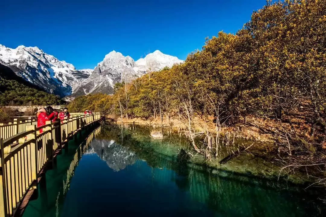 丽江最美的河流，雪山美景“近在咫尺”，随便拍拍都很梦幻《雪迷宫》老舅下线！郑北、姜小海最后博弈，姜迎紫结局不一般-第1张图片-海南百花岭热带雨林文化旅游区