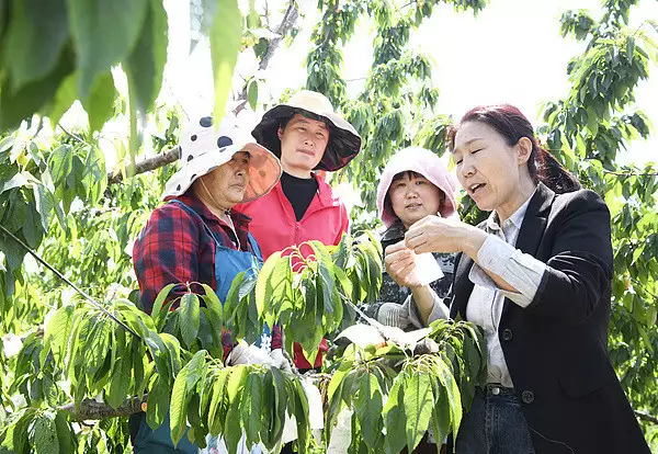 北青快评 | 打通农技服务“最后一公里”,不妨多向短视频借力张飞瞧不起三个超一流猛将,一个打不过,一个战平,一个刺中肩膀 北青快评 | 打通农技服务“最后一公里”,不妨多向短视频借力张飞瞧不起三个超一流猛将,一个打不过,一个战平,一个刺中肩膀