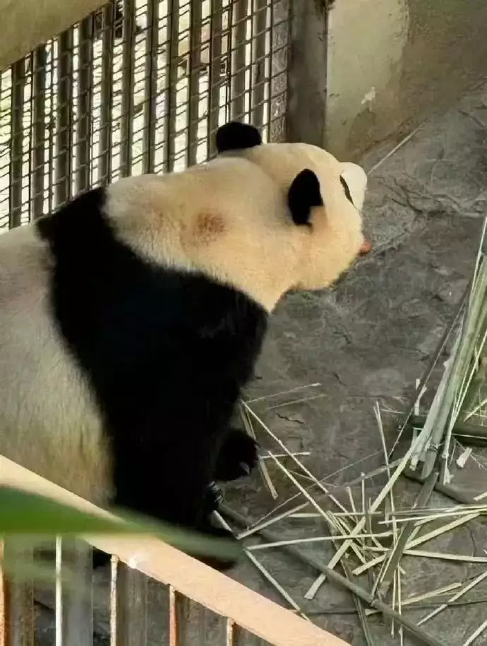 长期偷拍!主播朱某某,终身禁止.…..心眼坏、城府深的人,往往喜欢向你打听这三件事 长期偷拍!主播朱某某,终身禁止.…..心眼坏、城府深的人,往往喜欢向你打听这三件事