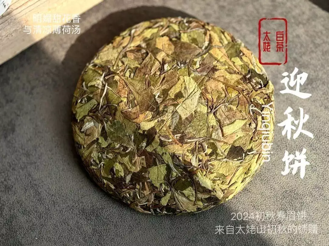 茶圈中一个老生常谈的疑问，还是不得不谈，茶叶为什么会有泡沫？