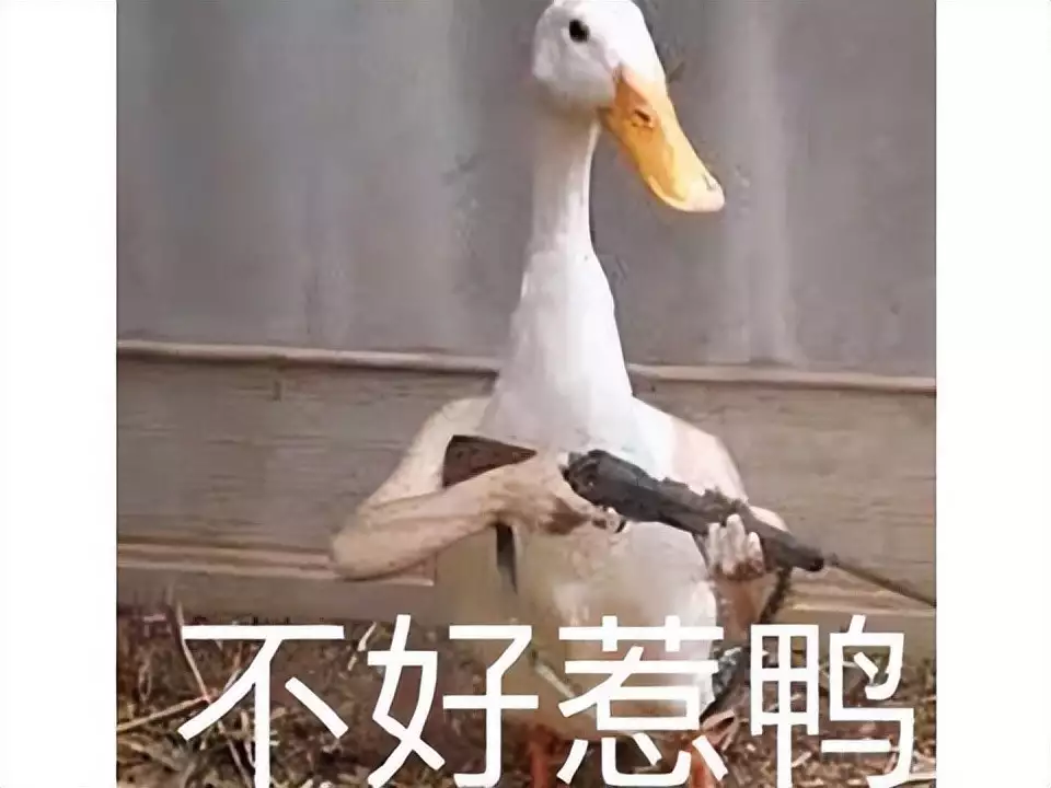 利博成语四个字大全集图片（中国官网）