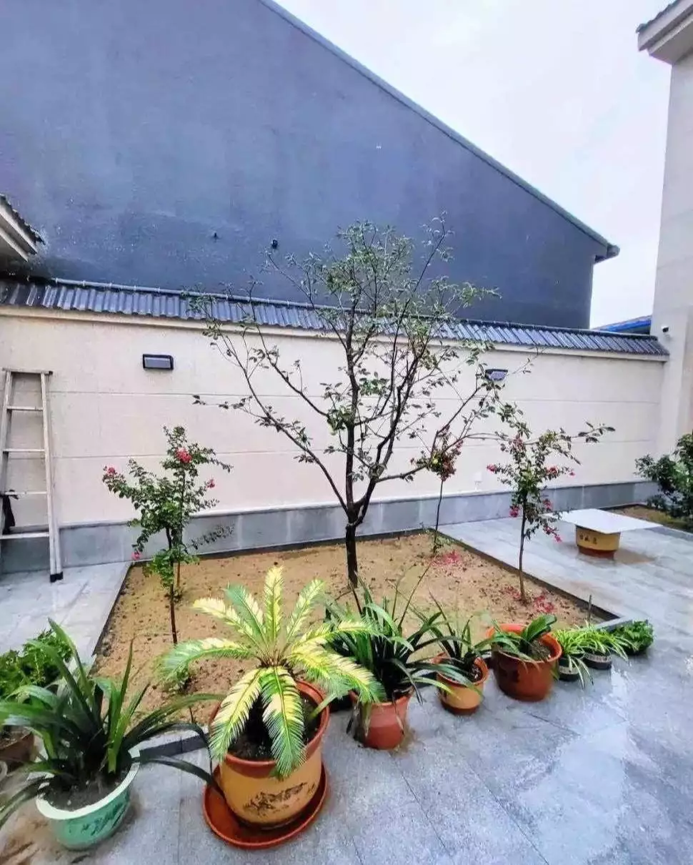 120㎡自建房爆红网络,简约装修成众多家庭学习典范顶级富二代在上海被杀,其父竟是中国人万万不可忘记的他!(图3) 120㎡自建房爆红网络,简约装修成众多家庭学习典范顶级富二代在上海被杀,其父竟是中国人万万不可忘记的他!(图3)