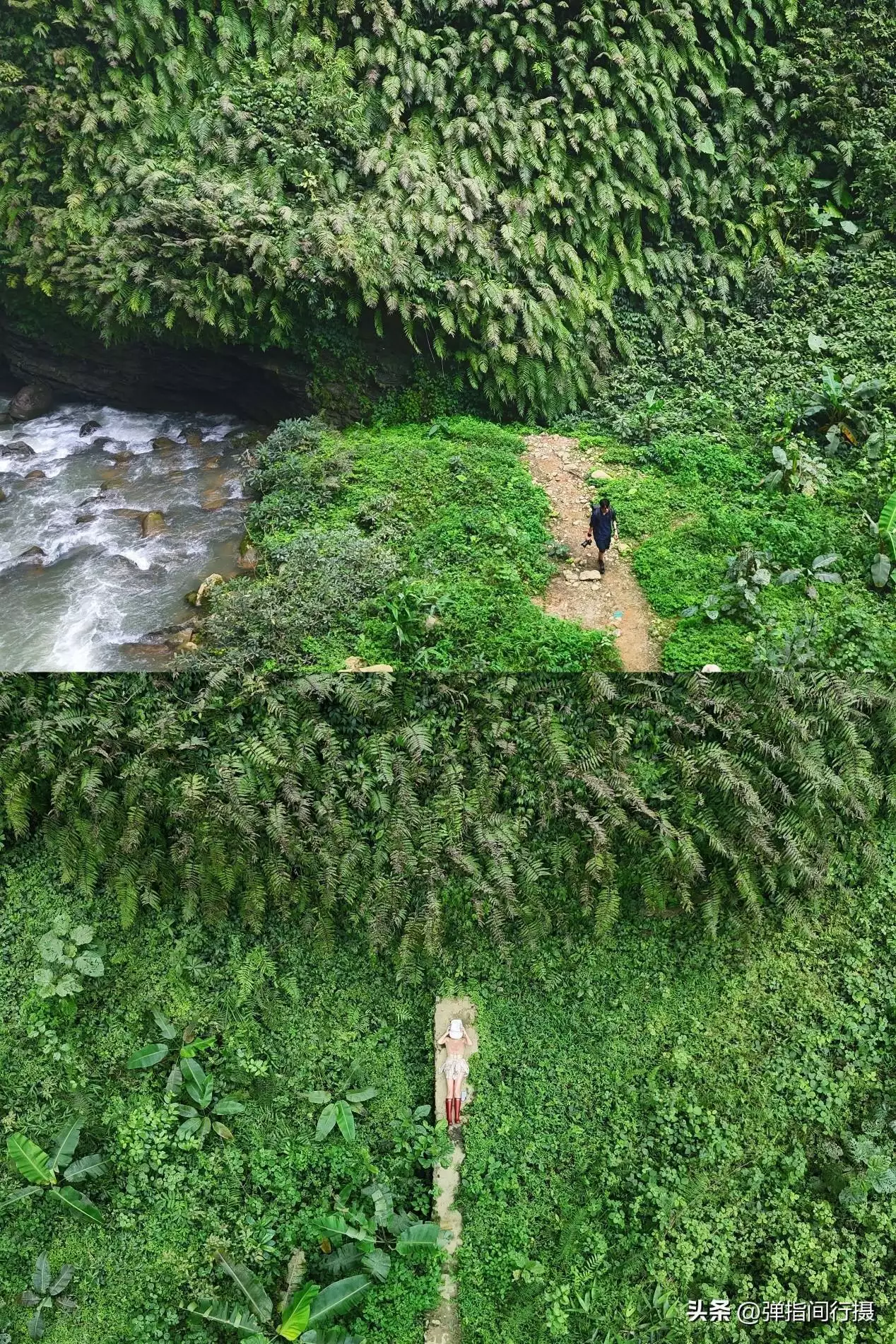 广西最深藏不露的旅游城市，山水风光不输桂林，却被很多游客忽视世界上竟有蜈蚣会吃鸟？30多厘米蜈蚣年吃3700只鸟，为何这么大？