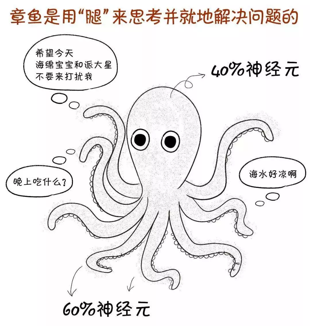 普通人必知！3个章鱼冷知识，超有趣9位“脸美手丑”的明星：看脸美如花，伸手就尴尬，个个反差巨大