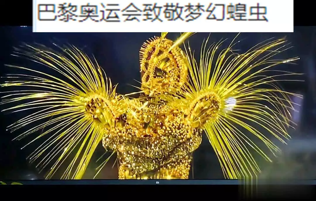 乐鱼体育：梦幻西游：巴黎奥运会闭幕式在致敬梦幻蝗虫？金色外星人是蝗虫播报文章 未分类 第5张