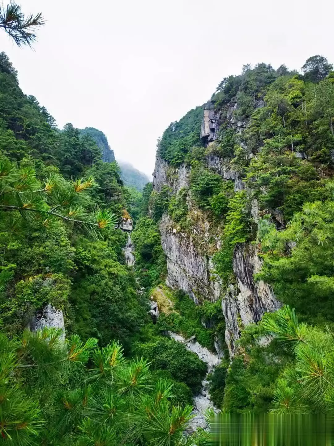 大理云游路：特别的“人脸”景观，本地人都不知道？（攻略）杭州探店｜探不了一点 人太多了