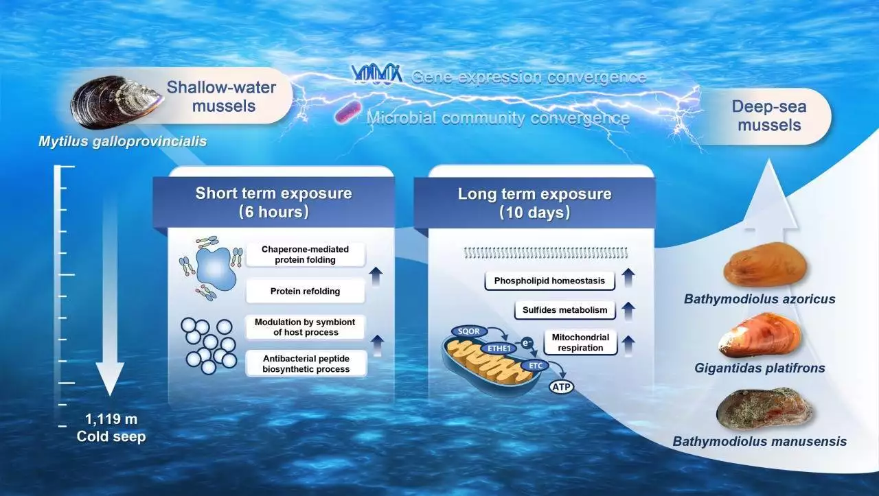 探秘深海生物，这4个冷知识你知道吗？“珍妃井”直径33厘米，小孩都进不去，慈禧是怎么把珍妃推进去的