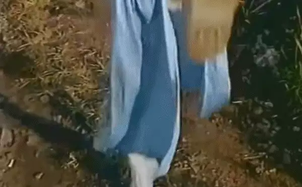 韩国拍的《街头霸王》电影,终于看到春丽的“嘀嘀哒嘀”被破解毛主席曾留下6大预言:当时没人信!今5个已应验,第6个正在实现 韩国拍的《街头霸王》电影,终于看到春丽的“嘀嘀哒嘀”被破解毛主席曾留下6大预言:当时没人信!今5个已应验,第6个正在实现