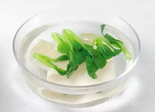 陕西蘸水面的正宗做法,面条筋道,酸香味美,上桌汤都不剩下!女子救下猫头鹰,竟成超级粘人精?走到哪跟到哪,网友:你被认定了! 陕西蘸水面的正宗做法,面条筋道,酸香味美,上桌汤都不剩下!女子救下猫头鹰,竟成超级粘人精?走到哪跟到哪,网友:你被认定了!