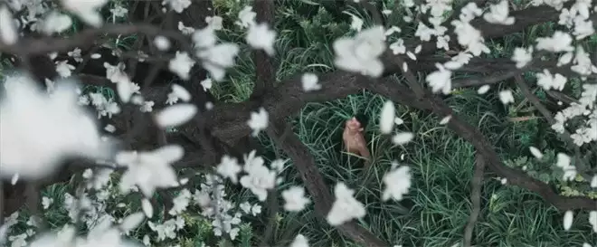 1905对话《雄狮少年2》导演孙海鹏 揭秘创作故事早点健康|不是父母付出越多,亲子关系就越健康 1905对话《雄狮少年2》导演孙海鹏 揭秘创作故事早点健康|不是父母付出越多,亲子关系就越健康