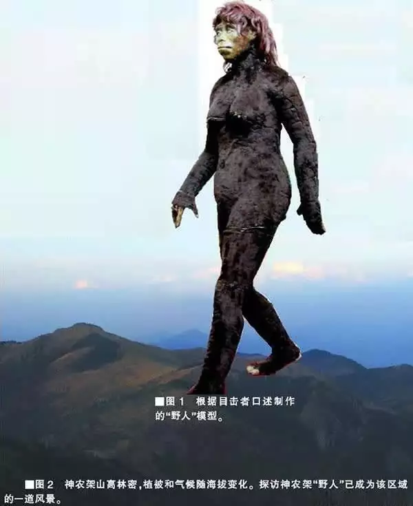 快来了解！野人的这些冷知识你知道吗刘伯温死后留给朱元璋最后的忠告，朱元璋十七年后顿悟，悔不当初