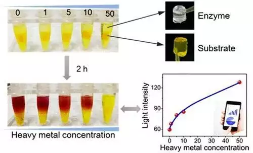 这都可以？（酶活性受什么因素影响）酶的活性会影响产物的多少吗，酶活性影响因素大揭秘，这3点你一定要知道！期待秋天～卫衣这样搭好好看！！！，
